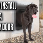 How To Install A Doggy Door In Your Wall